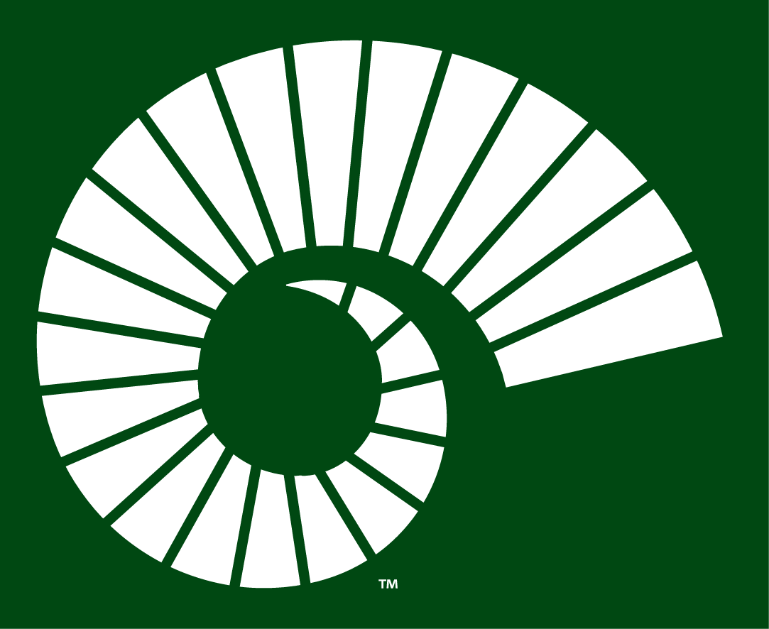 Colorado State Rams 2015-Pres Alternate Logo v3 diy iron on heat transfer